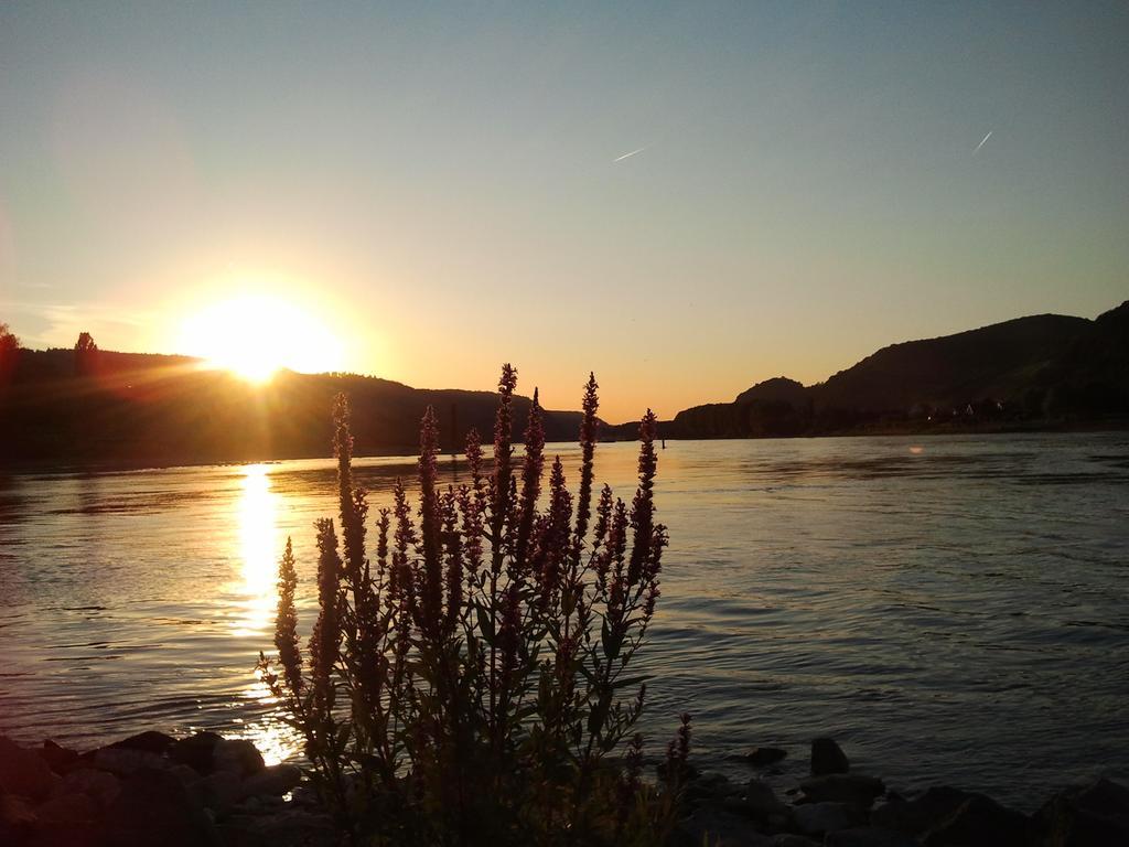 Fe Wo Am Alten Rathaus Apartment Andernach